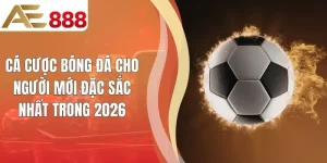 Cá Cược Bóng Đá Cho Người Mới Đặc Sắc Nhất Trong 2026