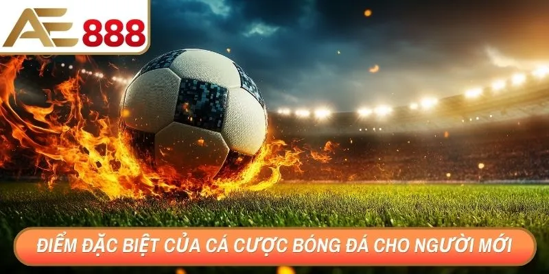 Điểm đặc biệt của cá cược bóng đá cho người mới