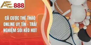 Cá Cược Thể Thao Online Uy Tín - Trải Nghiệm Soi Kèo Hot