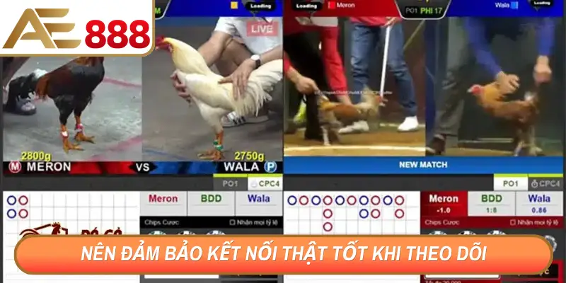 Nên đảm bảo kết nối thật tốt khi theo dõi