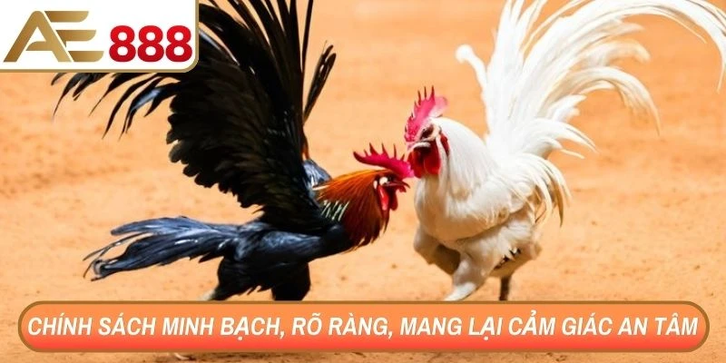 Chính sách minh bạch, rõ ràng, mang lại cảm giác an tâm