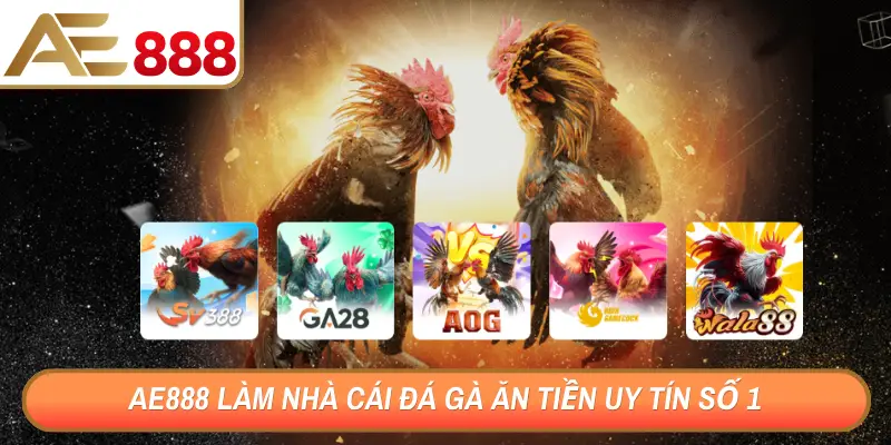 AE888 làm nhà cái đá gà ăn tiền uy tín số 1