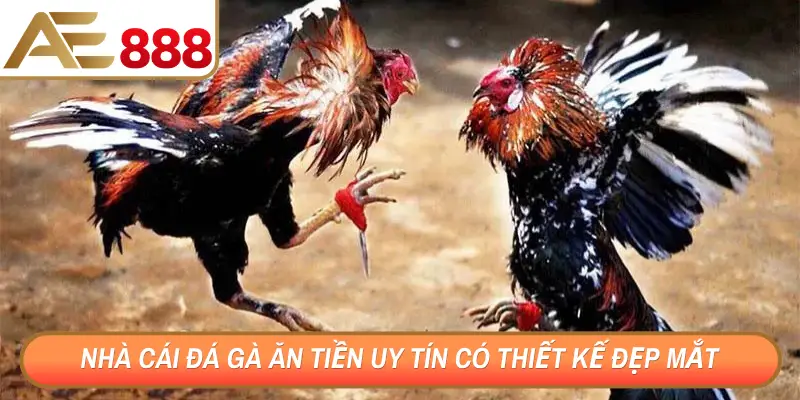 Nhà cái đá gà ăn tiền uy tín có thiết kế đẹp mắt