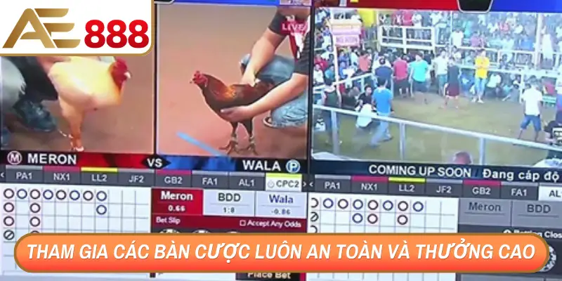 Tham gia các bàn cược luôn an toàn và thưởng cao