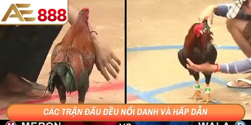 Các trận đấu đều nổi danh và hấp dẫn