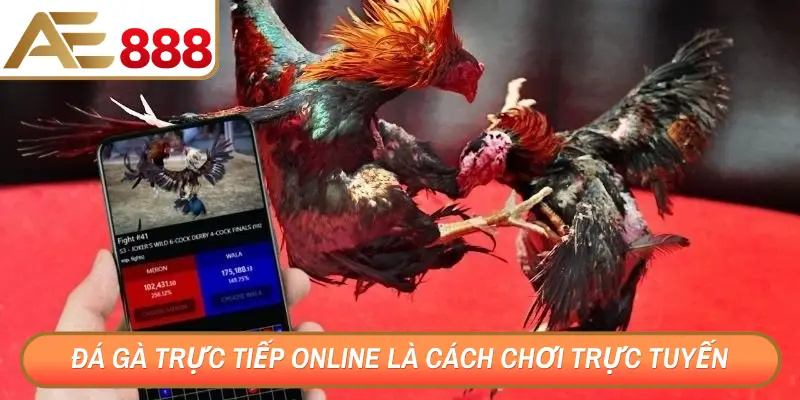 Đá gà trực tiếp online là cách chơi trực tuyến