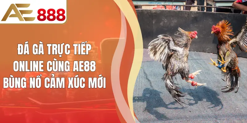 Đá Gà Trực Tiếp Online Cùng AE88 Bùng Nổ Cảm Xúc Mới
